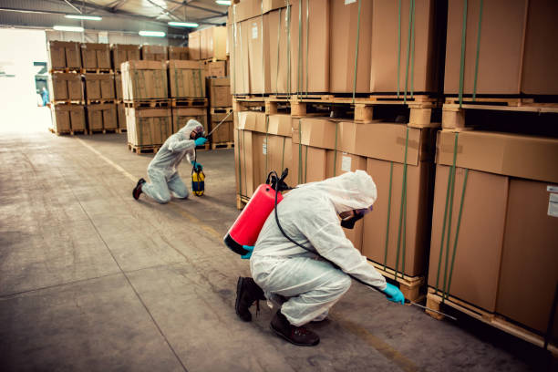 Best Pest Prevention Services  in Fowlkes, TN