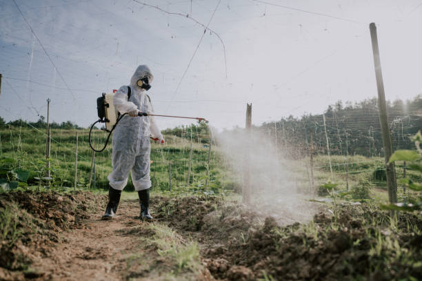 Professional Pest Control in Fowlkes, TN
