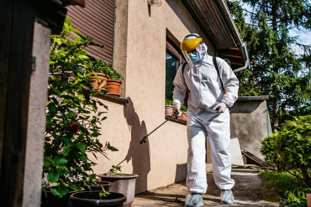 Best Pest Removal Services  in Fowlkes, TN