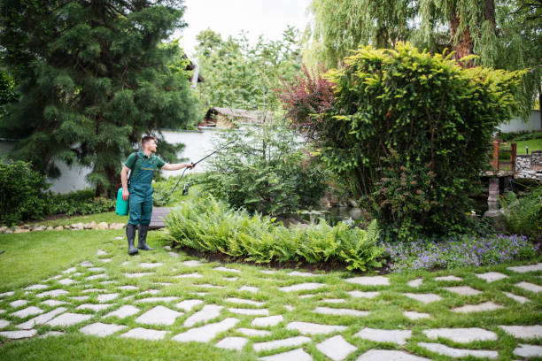 Best Local Pest Control Services  in Fowlkes, TN