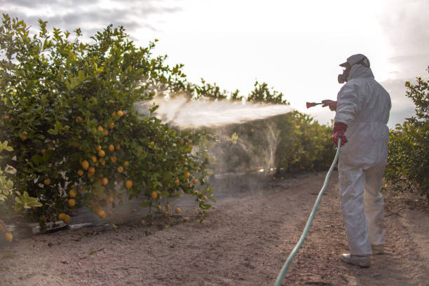 Best Affordable Pest Control Services  in Fowlkes, TN