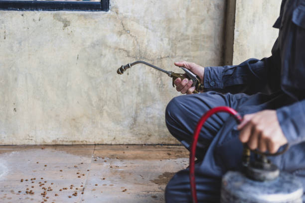 Best Residential Pest Control  in Fowlkes, TN